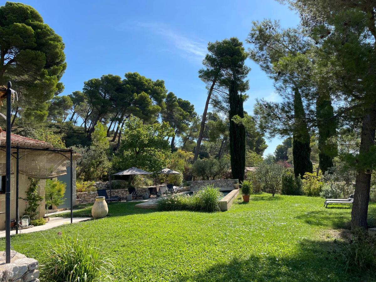 Le Mas Angelou Maussane les Alpilles Bagian luar foto