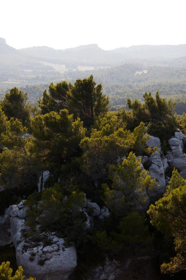 Le Mas Angelou Maussane les Alpilles Bagian luar foto