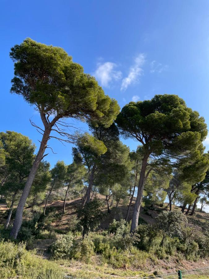 Le Mas Angelou Maussane les Alpilles Bagian luar foto